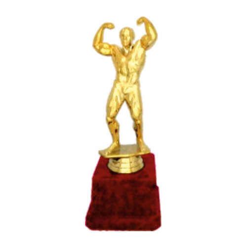 Boxing Trophy Awards Trophies Fibre Orion Gift World