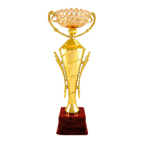 Fibre Gold Cup Trophies, For Awards And Gifting, Size (inches